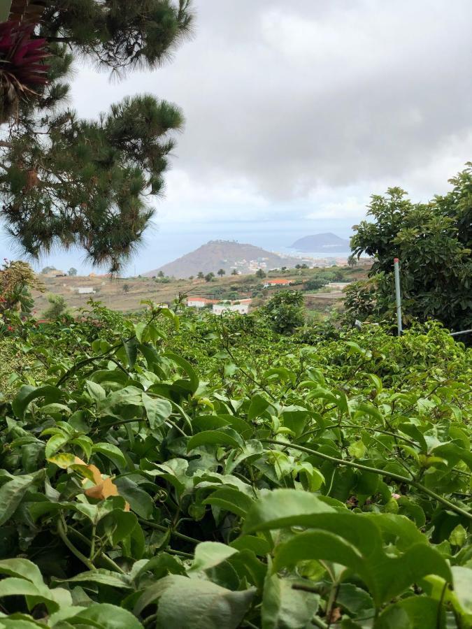 Los Viejitos En Firgas Villa Buitenkant foto